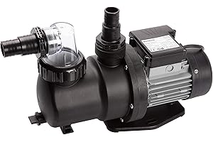 Steinbach 040920 SPS 75-1 Pompe de Filtration Auto-amorçante sans minuteur, Noir,Argent