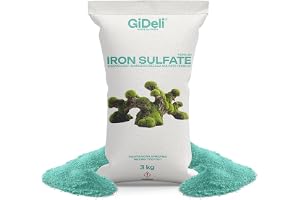 GiDeli Järnsulfat 3 kg Heptahydrat - Gödsel för Hortensia och Gräsmatta | För trädgård och jordbruk, för syraälskande växter, vattenlösligt, mot gula blad, FeSO4