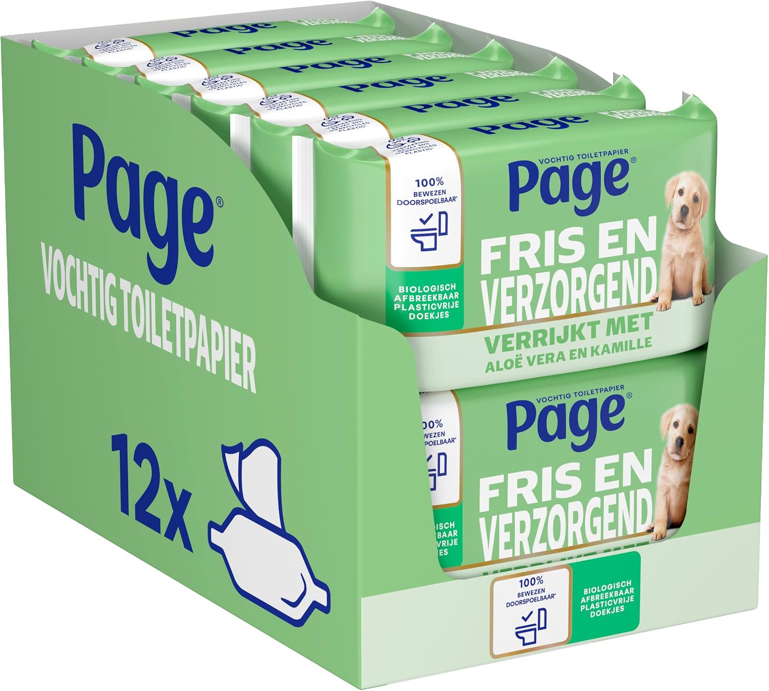 Vue 8