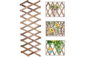 LANZLC Valla Extensible, 200 x 30cm Celosia Madera, Paneles De Celosía, Celosia Jardin, Celosías Trepadoras De Plantas Extensibles, Enrejado de Jardín Expandible, Valla De Pino Extensible
