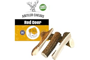 RF - Deer | Natural Deer Antler for Dogs | Long Lasting Chew Treat | Enjoyment and Dental care for your dog | SOFT | 1 pcs | S | 20-40 g | 8-10 cm