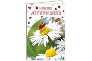 Afie 65-1217 Carte Heureux Anniversaire Collage Coccinelle en bois peinte et collée à la main Fleurs Marguerite Blanche