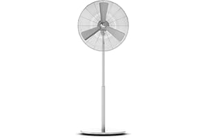 Stadler Form Ventilateur sur Pied Charly Stand avec Fonction de Pivotement, Réglage de la Hauteur et de l'Inclinaison, Socle Stable, Couleur Argent VLO-043