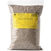 R&amp;R SHOP - Seeds for Lawn, Festuca Arundinacea, Resistant and Durable (5 kg - 200mq)