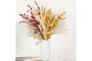 Decoración de Flores secas de Hierba de la Pampa Aufisi (64 Piezas) – Ramo Natural para Mesa de Comedor, Sala de Estar | Decoración de Mesa Estilo Boho | Decoración del hogar sostenible