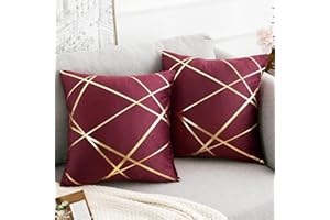 DECORMOMMT Rosso vino Fodere per Cuscino Decorativo Geometrico Abbronzante Federe per Cuscino 40x40 cm Federa Oblunghe in Velluto per Divano Sedia Camera da Letto Auto Terrazza Cuscinetto Lombare Set di 2 Pezzi