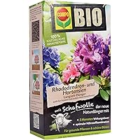 COMPO BIO Rhododendron- und Hortensiendünger für alle Rhododendren und andere Morbeetpflanzen, 5 Monate Langzeitwirkung…