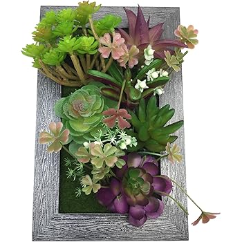 PietyDeko 3D Bilderrahmen mit Sukkulenten Plastikblumen Hängende