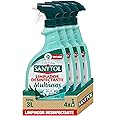 Sanytol - Limpiador Desinfectante Multiusos, Elimina Bacterias, Hongos y Virus Sin Lejía, Perfume Eucaliptus - Pack de 4 x 75