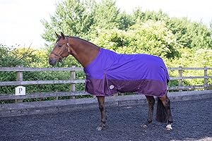 EQUITACK YOUR PASSION IS OUR MISSION 600D Lightweight Turnout Horse Rug | Regular Neck | Water Resistant Rugs | Teflon Coated | 0g No Filling | Purple/Plum 6ft 3