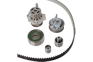 Dayco ktbwp7880 Verteiler-Kit mit Wasserpumpe