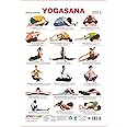 spectrum Polypropylene Yogasana Seating Postures 2 Chart No. 3 (Multicolour)