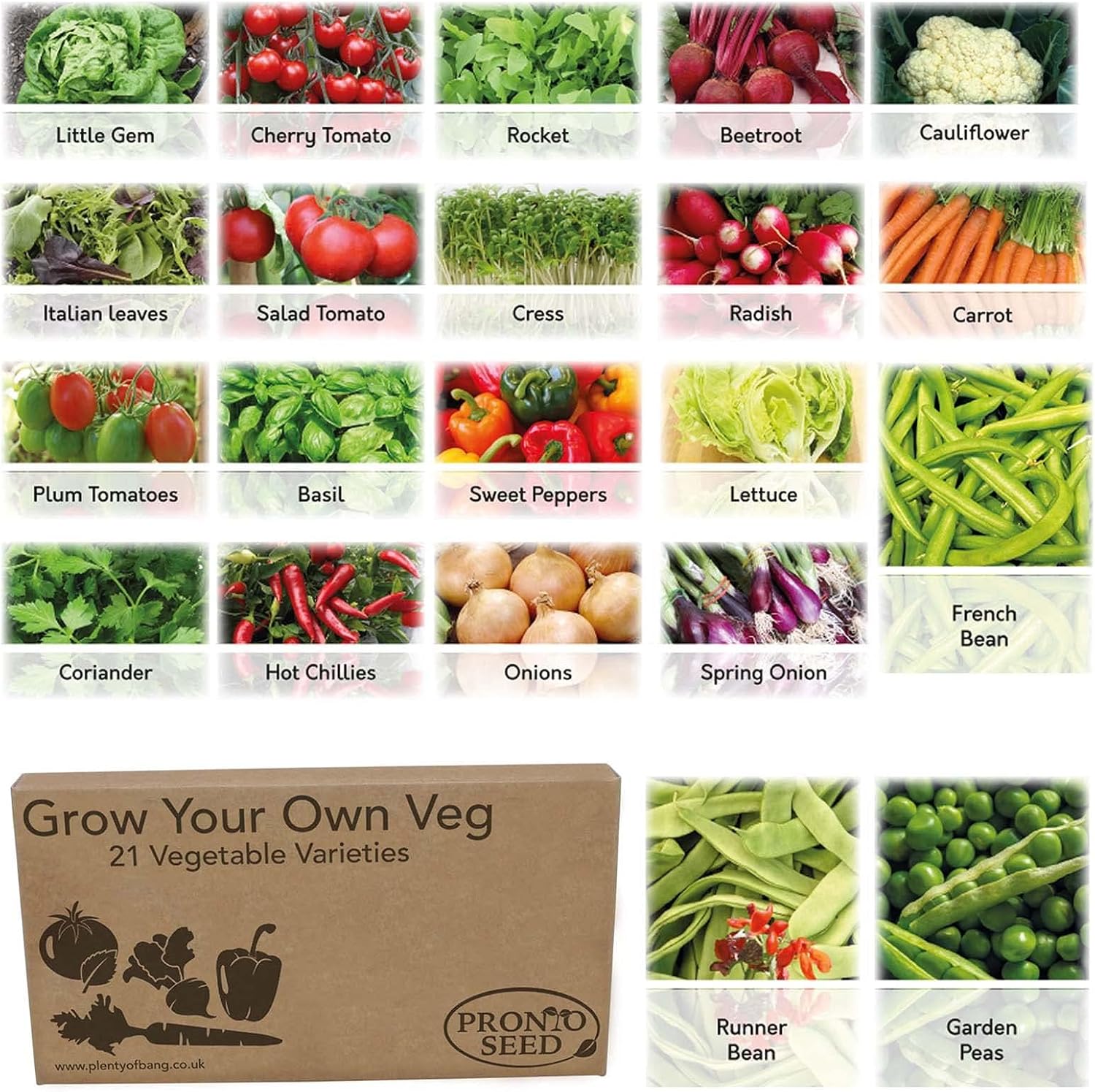 Pronto Seed Grow Your Own Vegetable & Herb Kit – 21 Varieties, 1700+ Seeds for Planting UK – Salad, Spicy, Peas & Beans Mix – Gardening Gifts for Men & Women with Growing Guide