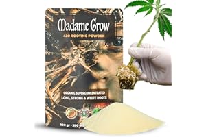 MADAME GROW Root Powder - Root Hormones - Root Hormone - Rooting - Cuttings - Plants - Rooting Agent - Root Activator (420 Rooting Powder 100 g)