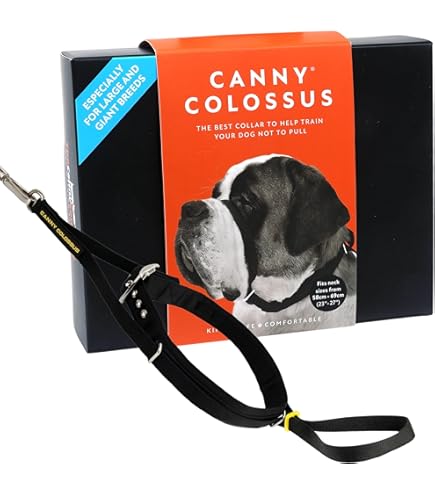 638541_4 638541_4