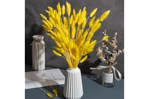 CHBOP 120 x Getrocknete Pampasgras Pampas Deko Trockenblumen Trockenblumenstrauß Natürliche Blumendekoration Gräser für Hochzeit Innendekoration Schlafzimmer Wohnzimmer (Gelb)