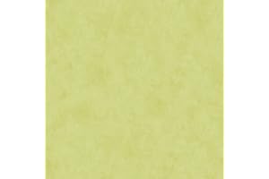 BRICOFLOR Papier peint uni Papier peint papier Vert 688866 SP03445 | Papier peint livré à domicile
