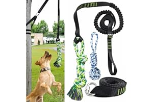 TUAHOO Outdoor Hanging Bungee Dog Toy, Interactive Tether Tug of War Toy for Small to Large Dogs Aggressive Chewers, Tree Tugger Pull Rope with 2 Dog Rope Toys