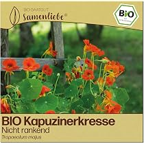 knstlicher weihnachtsbaum 100 spritzguss Weihnachtsbaum aus 100 % Spritzguss  210 cm