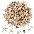 MAKINGTEC 100 Pcs Small Starfish Star Sea Shell Beach for Craft 0.4"-1.9"Starfish for Wedding Decor, Beach Theme Party, Home Decoration