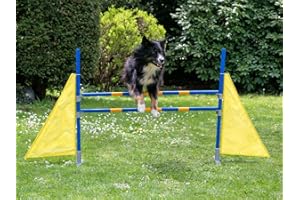 NAPZ Procyon Profi Agility Hürde Hunde-Training-Set höhenverstellbar - FCI konform