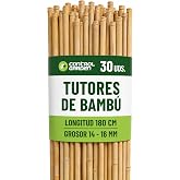CONTROL GARDEN 30 Bamboo Tutors for Plants 180 cm Thickness 14-16 cm | Natural Stakes for Tomatoes, Creepers and Holding Crop