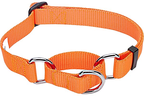 Blueberry Pet Collier Chien Martingale Classique Solide 1,5cm Petit Modèle S Nylon, Conçu pour Durer. Orange Florence