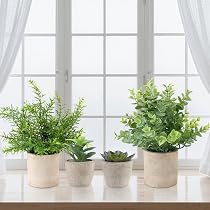 ALAGIRLS 3 Piante Finte Artificiali Per Scrivania, Soggiorno, Ufficio - Set B Con Vaso Nero, Altezza 17,8 Cm