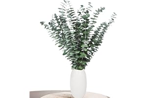 Decoración de eucalipto Aufisi - 22 Piezas de eucalipto seco (43 cm +), eucalipto seco para decoración, Bodas, Accesorios para el hogar, arreglo de Flores secas, Verde
