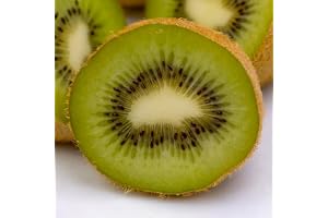 Grön kiwi – Actinidia deliciosa Jenny – fruktväxt – grön frukt – 2 växter – kruka 15 cm höjd 50 cm