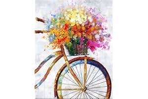 DIAMOND PAINTING FAN HOUSE Fan House Pintura por Números Adultos y Niños,Principiantes con Pinceles y Pinturas Acrílicas de Lienzo Decoración para el Hogar,sin Marco 40 x 50 cm Bicicleta de colores