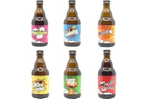 BREWERY NOVE PUNTO UNO Bira del Bocia – Cofanetto Birra Artigianale Italiana | 6 Bottiglie da 33cl in 6 Stili Diversi | Idea Regalo Degustazione