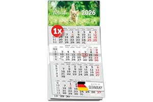 ‎PRIMUS-PRINT.DE PRIMUS PRINT 4-Monats Einblockkalender 2026 mit Schieber - Wandkalender zum Aufhängen - großer Monatskalender- inklusive Feiertagen - verschiedene Motive, verschiedene Sets [ 1x Katzenbaby ]
