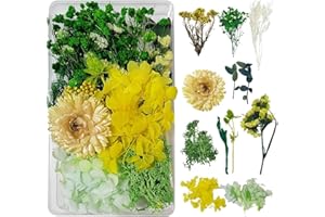 DOG'S BOOTY Flores Secas Naturales Flores Secas para Resina Flores Secas Naturales Decorar Flores Secas Manualidades DIY Joyería Vela Arte de Uñas Artesanía Scrapbooking Decoración Floral（Verde y Amarillo）