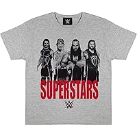 WWE Superstars Childrens T Shirt 116-182 Heather Grey Official Merchandise, heather grey