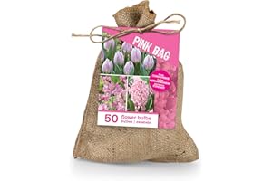 Bloomique - Mix de 50 - Le Sac Rose - Mix Rose - Tulipes, Jacinthes, Allium - Bulbes à fleurs - Floraison printanière - Plantes vivaces