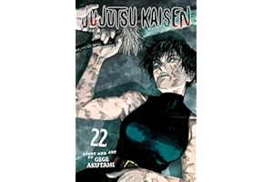 Jujutsu Kaisen, Vol. 22: rebirth: Volume 22