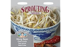 MR FOTHERGILLS Mr Fothergill?s Seeds Ltd 19230 Vegetable Seeds, Mung Bean