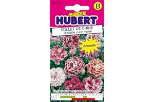 GRAINES HUBERT SEMENCES & ENGRAIS MAIROL Graines d'Oeillet de Chine Double nain varié - 0,5 grammes