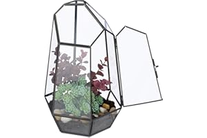 Relaxdays Terrarium pour Vos Plantes, décoratif et Pratique, pour Le Rebord de la fenêtre, 26 x 18 x 15 cm, Noir