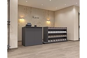 AIGENTLICH goodsforbusiness Verkaufstheke rollbar Holz B:118 x H:113,5cm x T:68cm Empfangstheke 3 große offene Fächer, erweiterbares Thekenelement (Anthrazit)