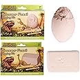 2 Pack Dinosaur Dig Out Kit, Archaeology Fossil Skeleton Excavation Set a Realistic Dinosaur Digging Adventure, Educational Science Mining Toy for Children