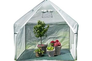 WESTMANN Tente d'hivernage Pepperoni | 180 x 180 x 200 cm | Protection des plantes et serre en film pour l'hivernage des plantes