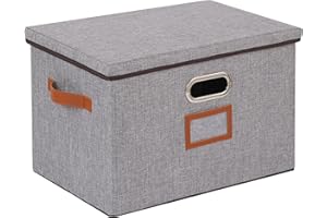 OUTBROS Boîte de Rangement, Paniers de rangement Pliables avec Couvercle et Poignées, Caisses de rangement en Tissu Lavable, pour Vêtement, Magazine pour Maison (Gris, 45x30x30cm)
