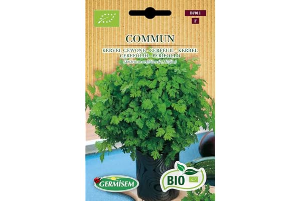 Germisem Bio Graines Cerfeuil COMMUM