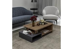 HOMIDEA DUX Tavolino basso da salotto - materiale in legno - Tavolino da divano - Tavolino da Caffè moderno in un design alla moda con mensola (Antracite/Briarsmoke)