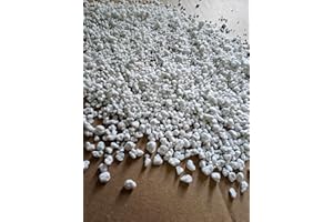 Boxam Perlite für Pflanzen 2-6mm (4L)