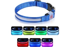 Petbank Leuchthalsband Hund Hundehalsband Leuchtend USB Aufladbar LED Halsband Hund mit 7 Farbwechsel 5 Beleuchtungsmodi Verstellbare Hund leuchthalsband Wasserdicht für Kleine Mittlere Große Hunde S