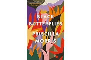 Black Butterflies: the exquisitely crafted debut novel that captures life inside the Siege of Sarajevo
