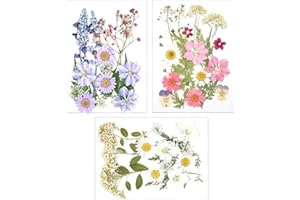 Sacjkt Dried Pressed Flowers, Natural Dried Flower Set, 49 PCS Decorative Mixed Dried Flowers, for Girls Makeup Candle Resin Scrapbook Floral Decorations (Purple Pink White)